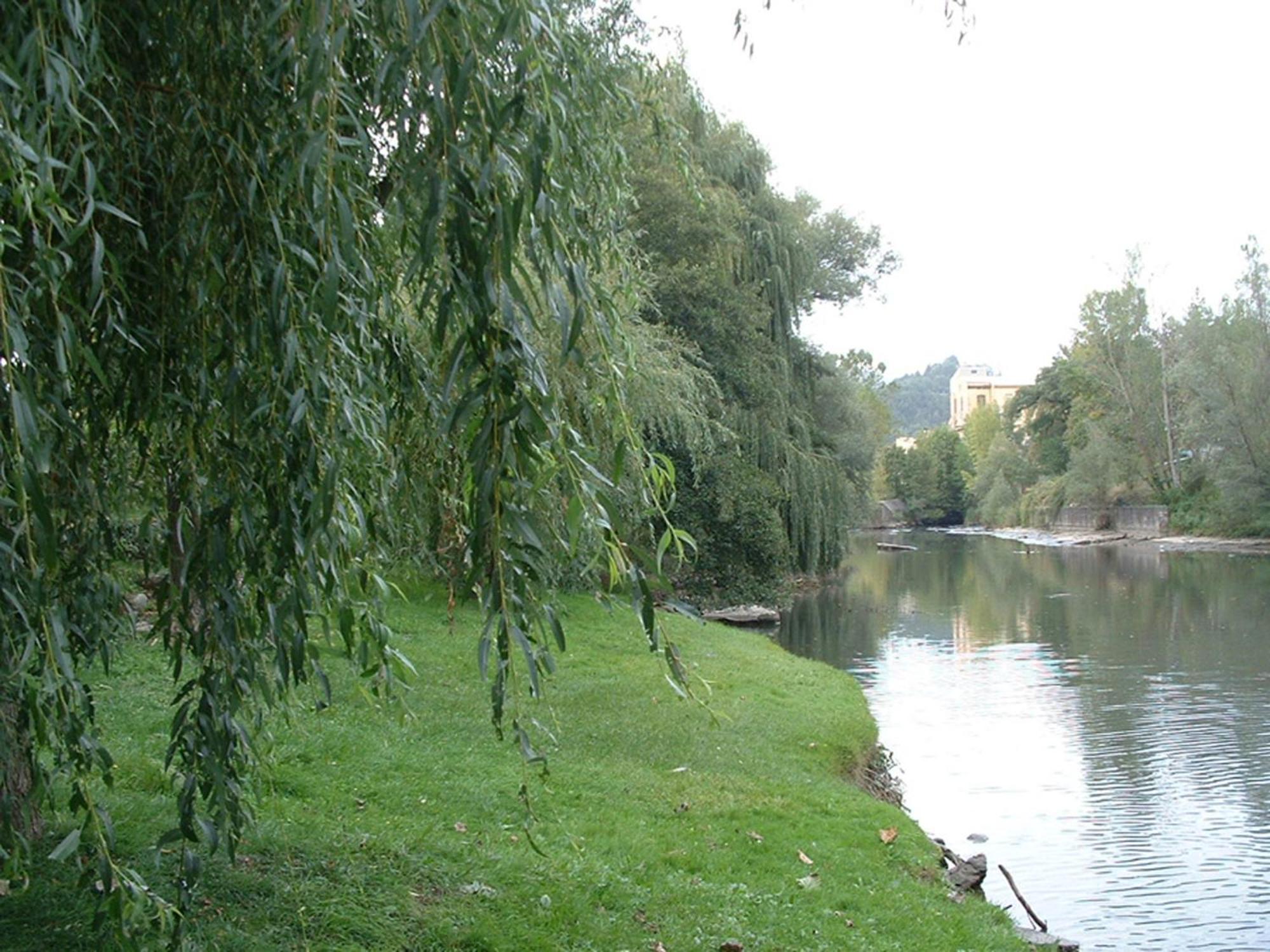 Hotel Sant Quirze De Besora